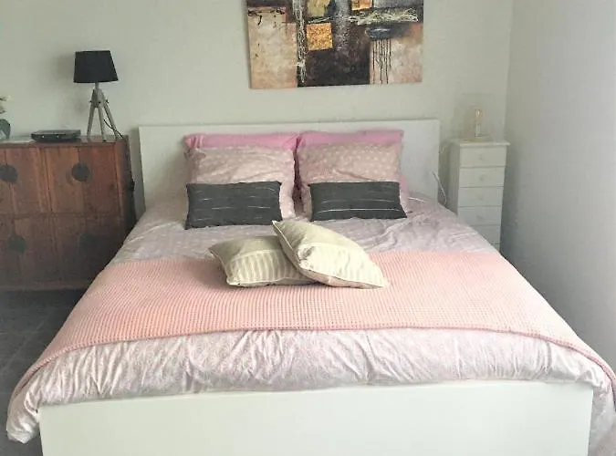 Cocooning Au Coeur Du Centre Apartman Biscarrosse