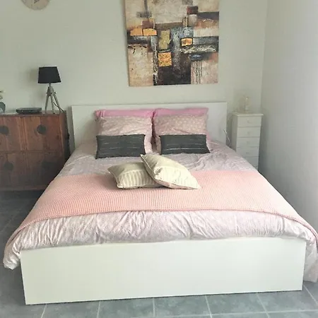 Cocooning Au Coeur Du Centre Apartment Biscarrosse